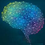 New algorithm will allow for simulating neural connections of entire brain on future exascale ...