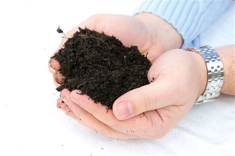 Organic Soil Improver | Peat Substitute | Premium Topsoil Supplies