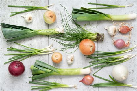 Best Substitutes For Onions - The Kitchen Community