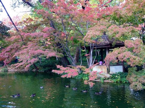 The Japanese Garden at Fort Worth Botanical Gardens. Beautiful ...