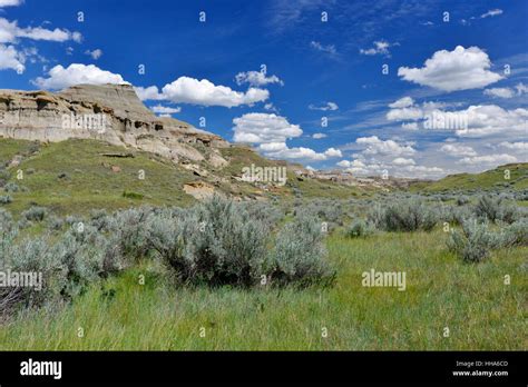 The Badlands, Dinosaur Provincial Park, Alberta, Canada Stock Photo - Alamy