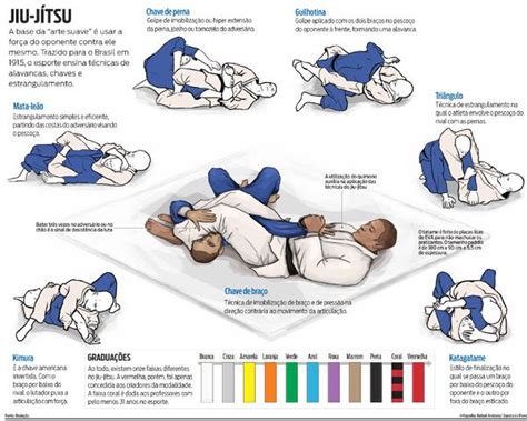 infográfico sobre os pricipais movimentos do jiu jitsu e alguns ...