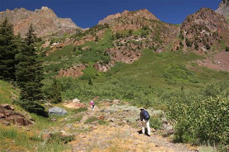 Lundy Canyon Waterfalls - Wildflowers, Waterfalls, and Lakes