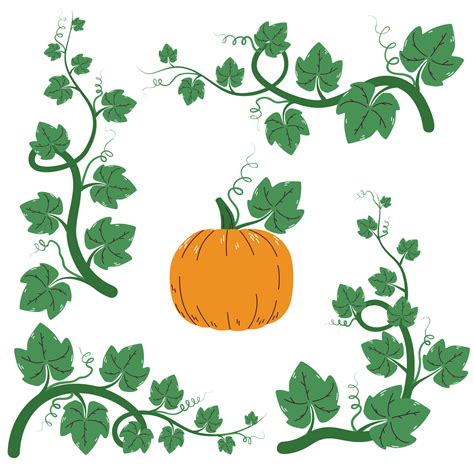 Set of pumpkin vine leaves and plant in green and orange pumpkin ...