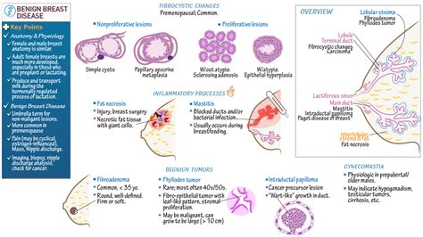 Clinical Pathology: Benign Breast Diseases (Mastitis, Fibrocystic changes, etc.) | ditki medical ...