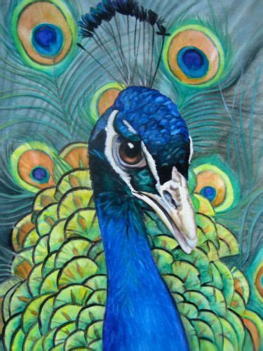 Judy Nunno, Contemporary Watercolor Paintings & Portraits | Peacock painting, Contemporary ...