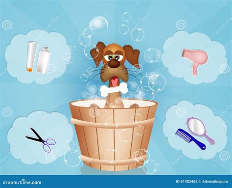 Funny dog grooming stock illustration. Illustration of stylish - 61482462