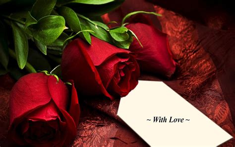 Romance Pretty Red Roses Romantic Rose With Love 1937404 : Wallpapers13.com