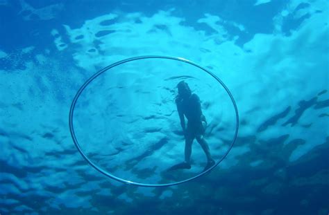 Kealakekua Bay Snorkeling Tour | Hawaii Tours & Activities