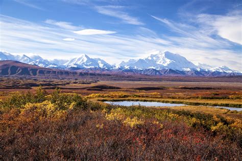 Denali National Park & Preserve: A Travel and Visitor's Guide