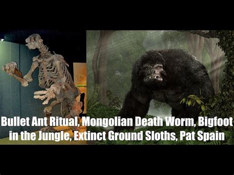 Bullet Ant Ritual, Mongolian Death Worm, Bigfoot in the Jungle, Extinct Ground Sloths, Pat Spain ...