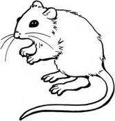 Mice coloring pages | Free Coloring Pages