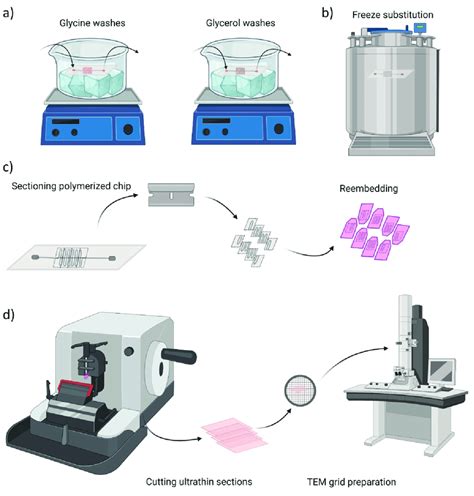 Overview of chip sample preparation for transmission electron... | Download Scientific Diagram