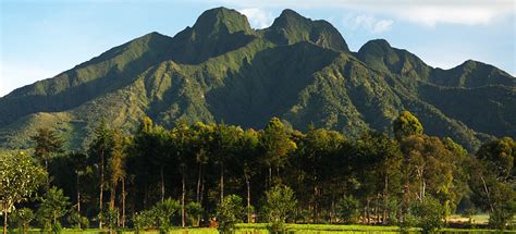 The 8 Virunga Mountains/Massif & Volcanoes in Africa