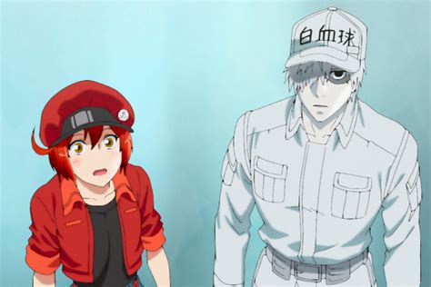 Cells at Work Season 2 Episode 1 Release Date, Watch English Dub Online, Spoilers