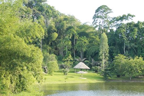 La Vega Estate (Gran Couva) - 2020 What to Know Before You Go (with Photos) - Tripadvisor