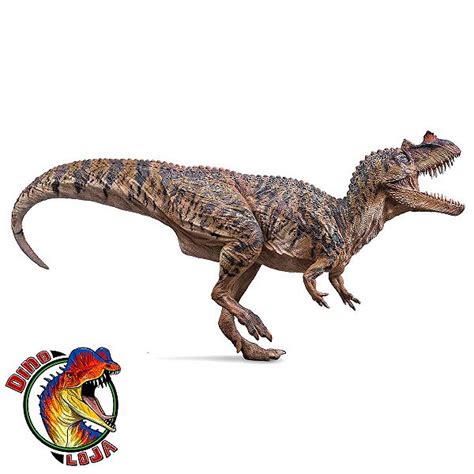 NICK O CERATOSAURUS PNSO RÉPLICA DE DINOSSAURO CARNÍVORO COM CHIFRE MI - Dinoloja - A melhor ...