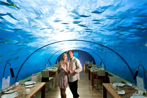 Underwater Dining in the Maldives - Alpha Maldives Blog