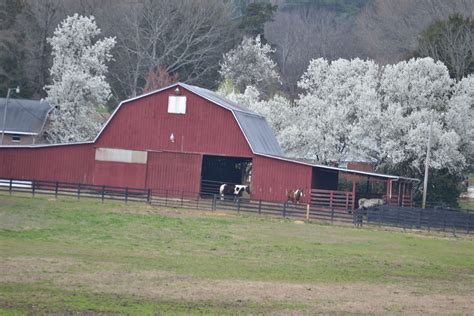 Barn in Bridgeport, Alabama | Barn, Bridgeport, Ville