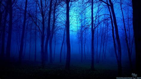 Blue Forest Wallpapers - Top Free Blue Forest Backgrounds - WallpaperAccess