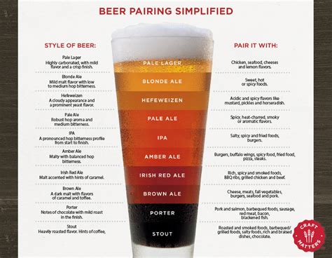 Beer Pairings Simplified — Cool Infographics