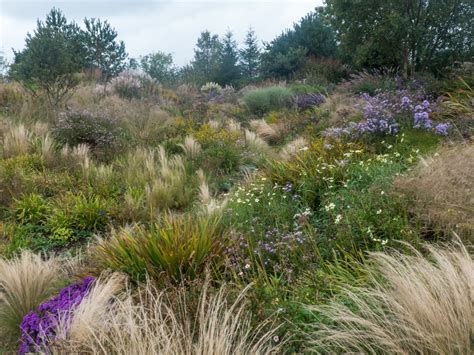 Wildside Nursery at the end of September - Alpine Garden Society