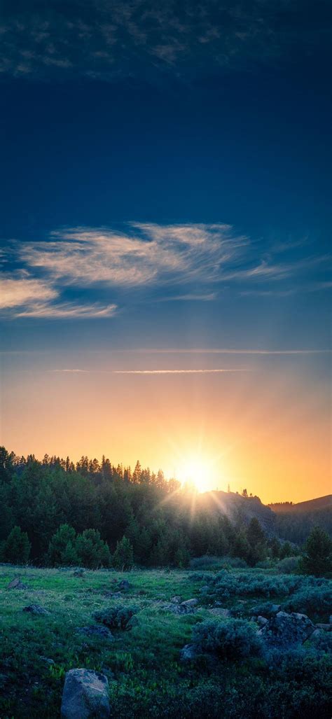 Sunrise Phone Wallpaper [1080x2340] - 038