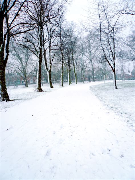 Snow in Spinney Hill Park in Leicester, England image - Free stock photo - Public Domain photo ...