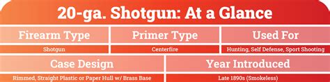 20 Gauge Ammo for Sale - Best 20 Gauge Shotgun Shells for Cheap