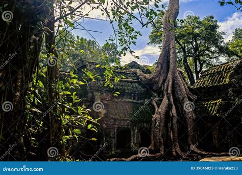 Ankor the lost city stock image. Image of raider, angkor - 39046023