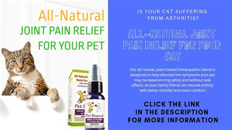 Cat Arthritis Treatment - Top 3 Cat Arthritis Treatments - Make Your Cat Feel Better! - YouTube