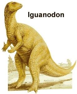 Iguanodon Adaptation, Behavior, Etymology, Facts and Species