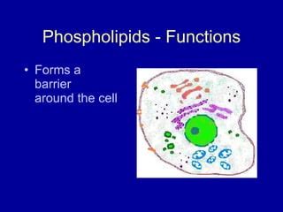 Chemistry | PPT