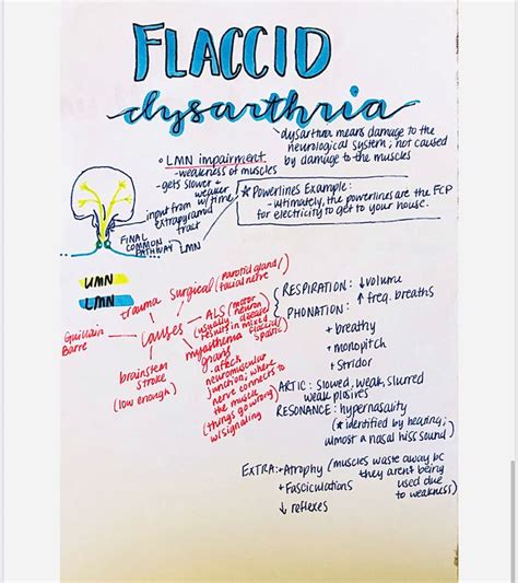 Characteristics of flaccid dysarthria Speech Language Pathology Grad School, Speech And Language ...