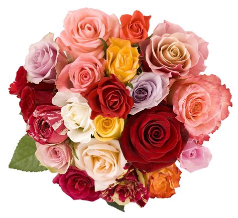 Valentines Day 2013 Gifts: Valentine's Day Flowers