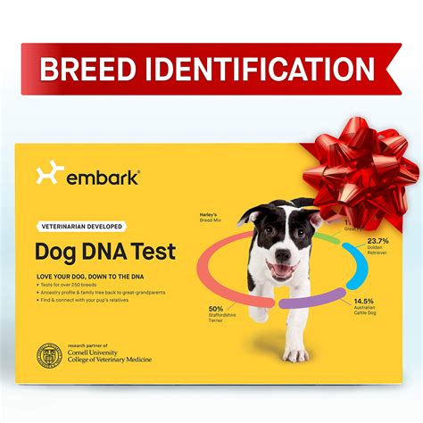 Embark + Dog DNA Test, Breed Identification Kit