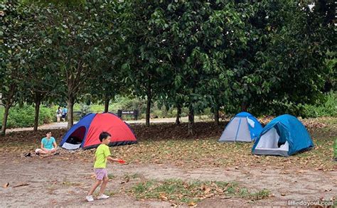 Pulau Ubin Camping With Kids: A Taste Of Rustic, Screen-Free Living - Little Day Out