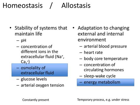 Homeostasis / Allostasis