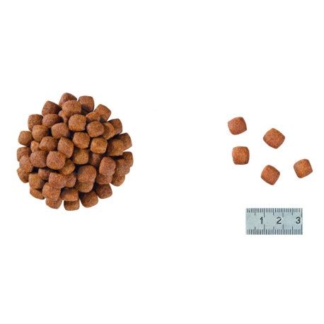 ROYAL CANIN Cat Skin Hairball - Croquettes pour chat