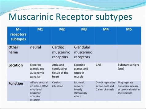 Muscarinic Receptor subtypes M- receptors subtypes M1 M2 M3 M4 M5 Other ...