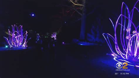 Brooklyn Botanic Garden's Lightscape show returns for the holidays - YouTube