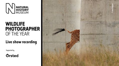 Behind the Lens: Live from the Wildlife Photographer of the Year ...