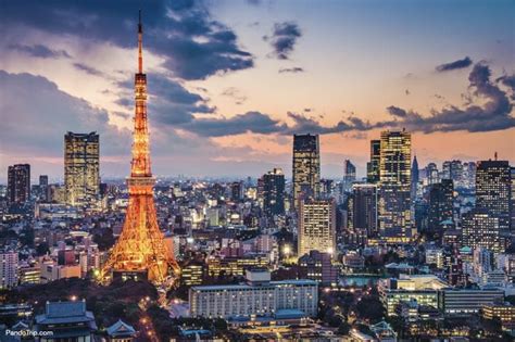 Top 10 Things to Do and See in Tokyo - Places To See In Your Lifetime