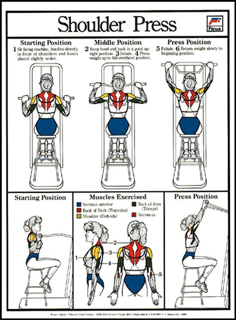 Shoulder Press Exerciser Machine Poster - Clinical Charts and Supplies