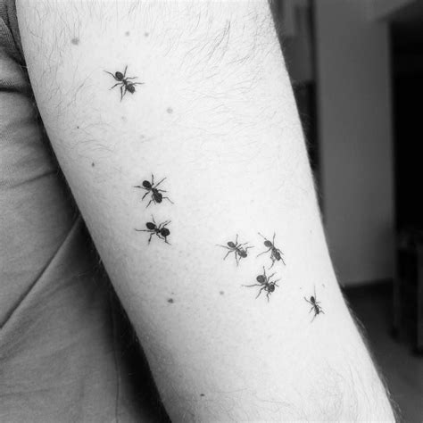 Small ants tattoo on inner arm by Carlota Hernandez (@charlotte_tattoing) | Tattoos, Insect ...