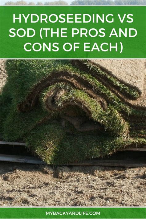 Hydroseeding vs Sod (The Pros and Cons of Each) in 2020 | Lawn care tips, Grass seed types ...