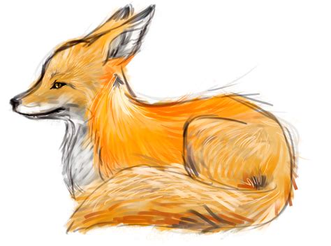 fox sketch by Yumenei on DeviantArt