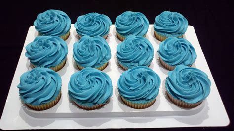 Blue Cupcakes ♥ - Cupcakes Photo (35382013) - Fanpop