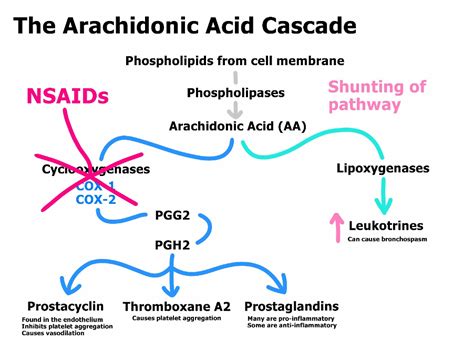 Mechanism Of Action Of Nsaids - IMAGESEE