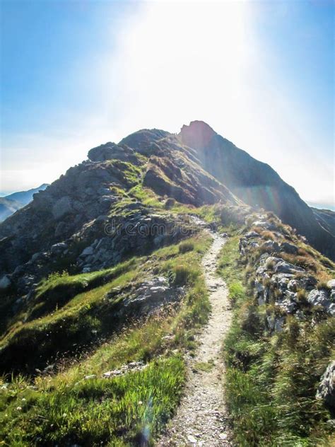 Carnic Alps - Lush and Steep Hike in Beautiful Surroundings Stock Image - Image of carinthia ...